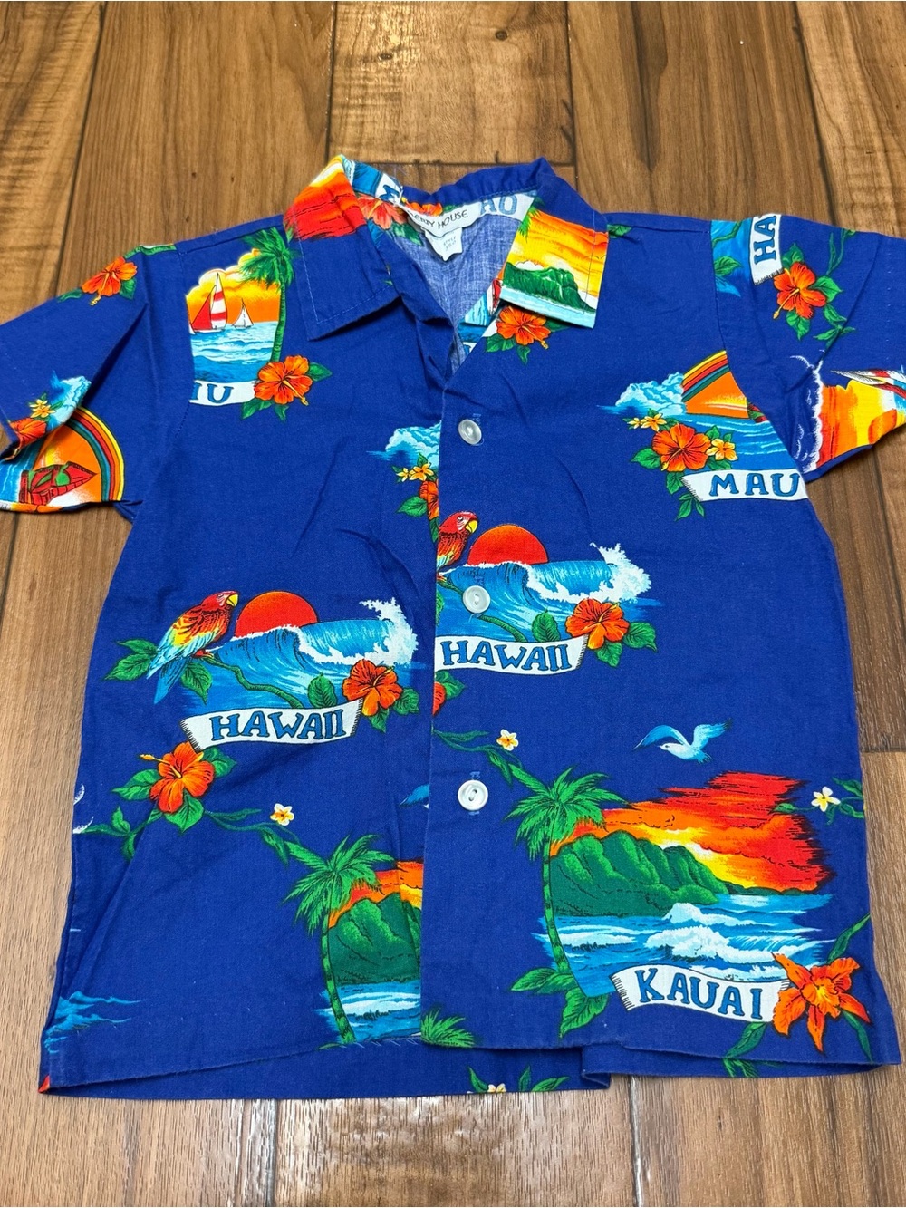 Vintage 70s Liberty House Hawaiian Shirt Kids 5 Blue Floral Button Up